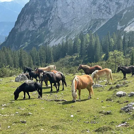 مكان تخييم Europarcs Leutasch-seefeld 2*
