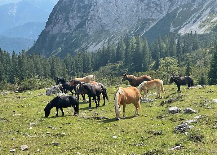 Camping Europarcs Leutasch-seefeld 2*